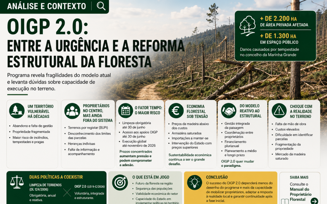 OIGP 2.0: Entre apoios e prazos, floresta enfrenta desafios estruturais
